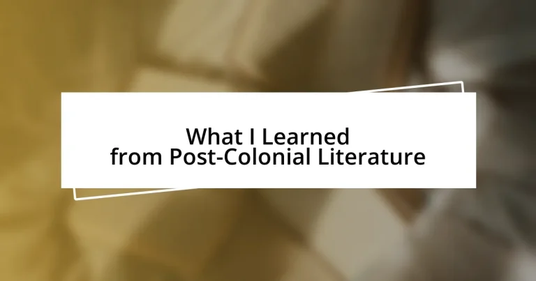 What I Learned from Post-Colonial Literature