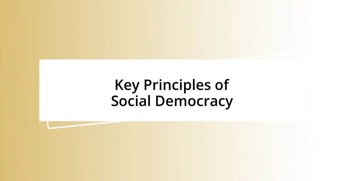 Key Principles of Social Democracy