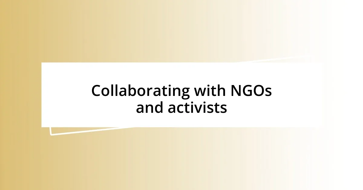 Collaborating with NGOs and activists