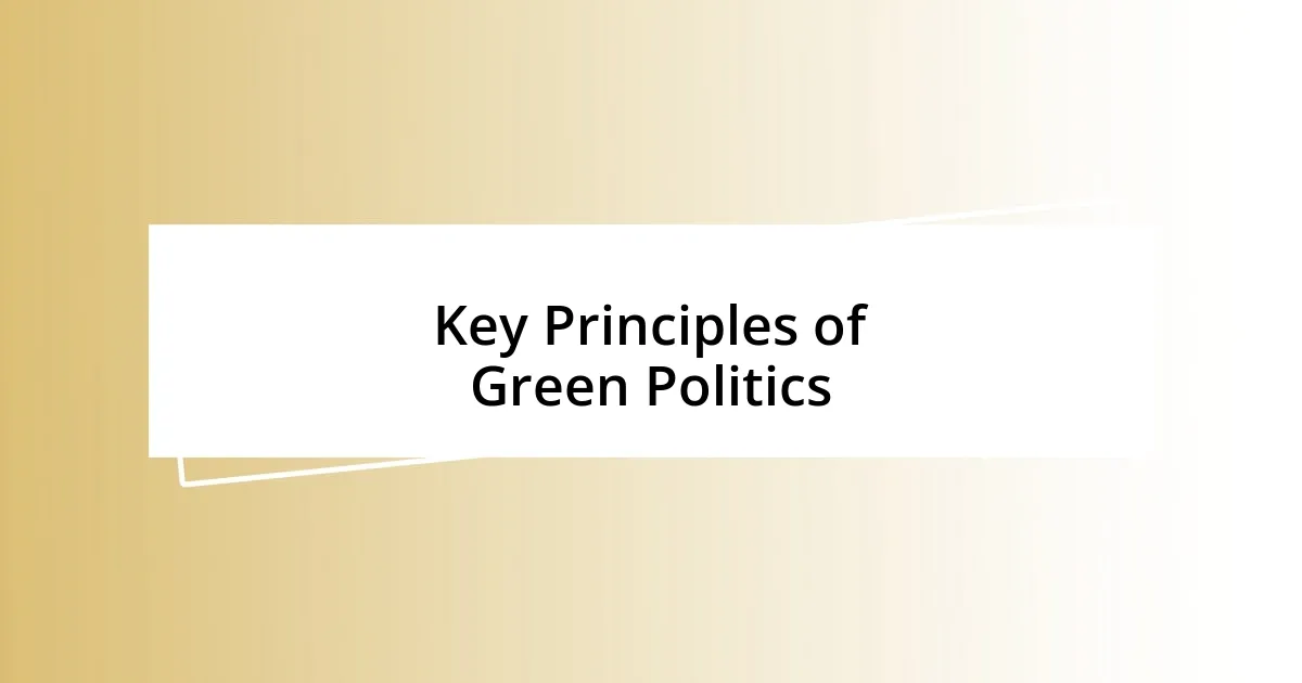 Key Principles of Green Politics