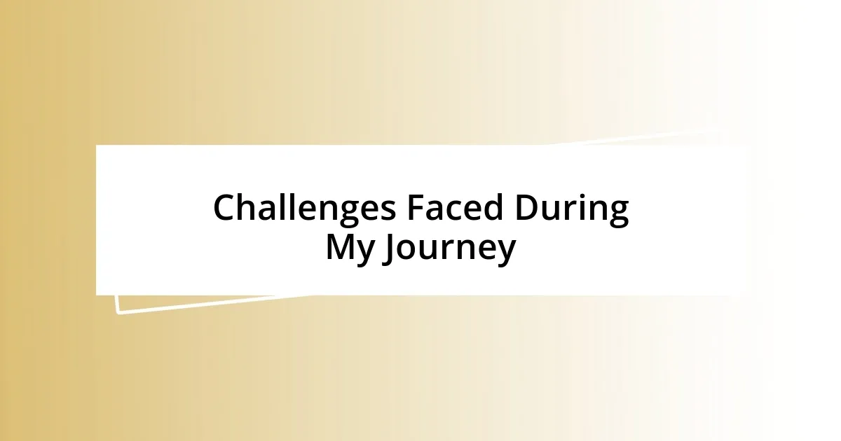 Challenges Faced During My Journey