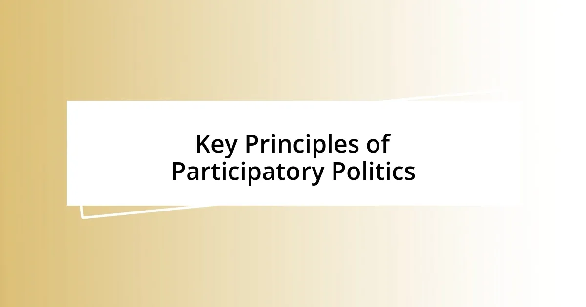 Key Principles of Participatory Politics