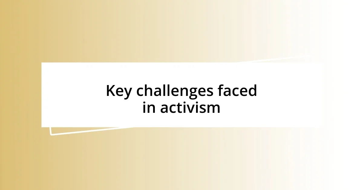 Key challenges faced in activism