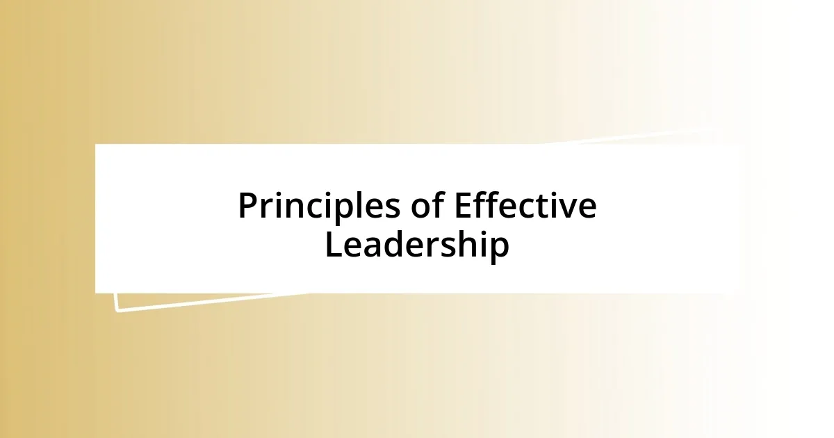 Principles of Effective Leadership