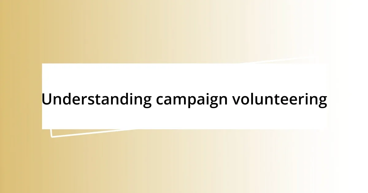 Understanding campaign volunteering