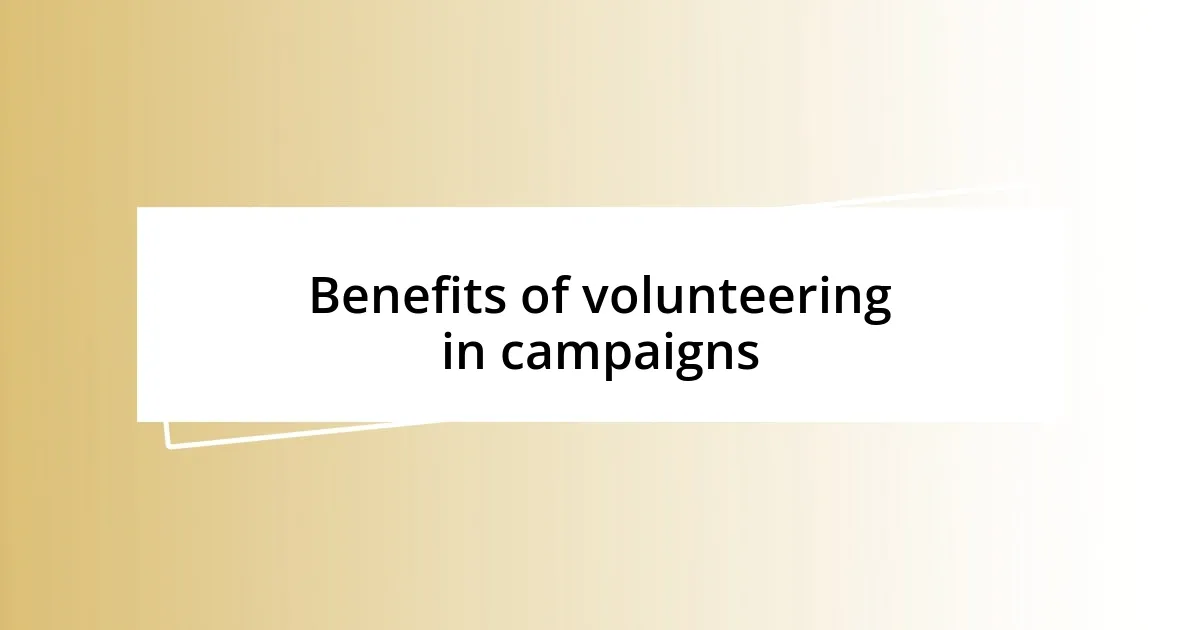 Benefits of volunteering in campaigns