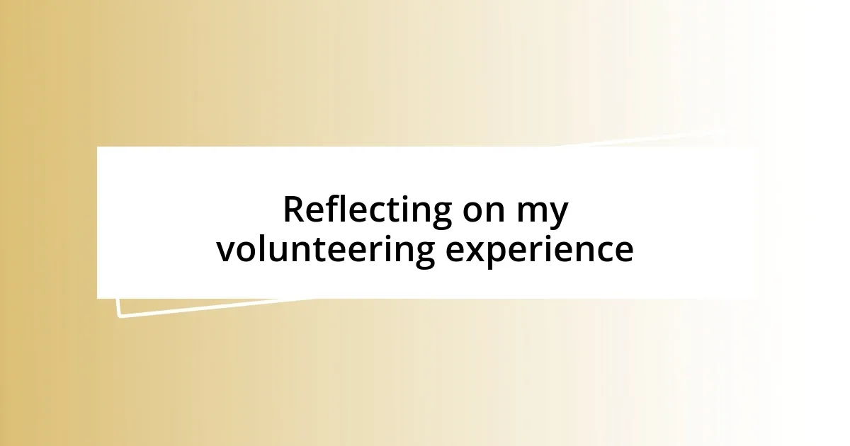 Reflecting on my volunteering experience